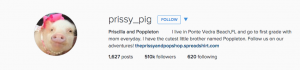 pig on instagram