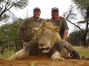 walter-palmer-cecil-lion-id-africa