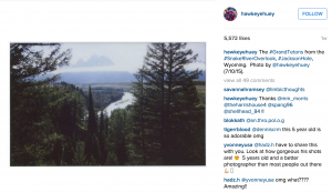 Wildlife Photography