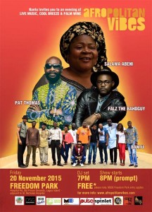 Afropolitan Vibes November 20, 2015