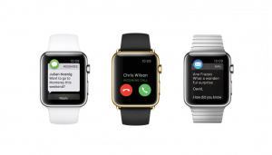 Apple CoolBrands 2016/17