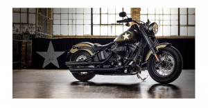 Harley-Davidson CoolBrands 2016/17