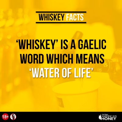 8 cool reasons why you should drink whiskey