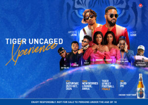 Tiger Street Football Tournament Awka